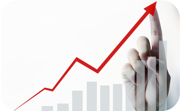 Objetivos, alcances y funciones